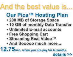 Web hosting value : our Pica hosting plan...